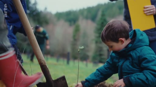 Un jeune enfant en veste bleue plante un jeune arbre dans le sol lors d'une activité de reforestation en extérieur. Des adultes l'accompagnent dans cette action écologique de plantation d'arbres.