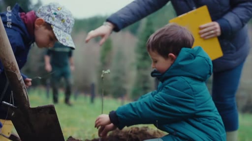 Des enfants, accompagnés par un adulte, plantent de jeunes arbres dans une zone forestière dans le cadre d'une activité de reforestation. Cette scène illustre les initiatives pédagogiques et écologiques liées à la plantation d'arbres.