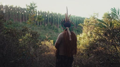 Un homme autochtone, vu de dos et portant une coiffe traditionnelle en plumes, se tient dans une zone forestière, illustrant les thématiques de la préservation de l'environnement et de la culture indigène.