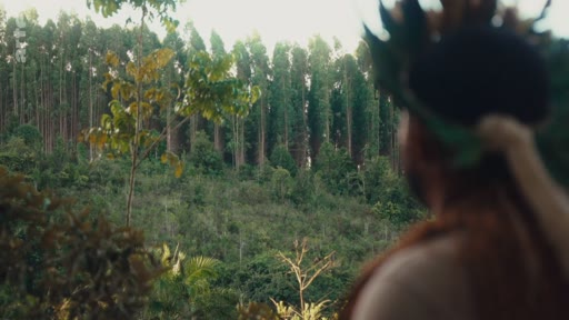 Un homme autochtone, vu de dos et portant une coiffe traditionnelle, contemple une vaste étendue forestière, illustrant les enjeux de la préservation et de la gestion des terres par les peuples autochtones.