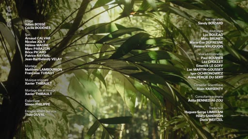 Générique de fin d'un documentaire diffusé sur Arte, listant les membres de l'équipe technique, incluant Julien Bossé, Cécile Bodenes, et Xavier Thibault, sur un arrière-plan de végétation tropicale.