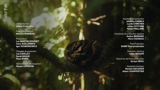 Générique de fin affichant les crédits de production et l'équipe technique d'un documentaire diffusé sur la chaîne Arte, avec un arrière-plan forestier.