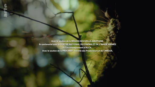 Générique de fin d'un programme télévisé diffusé sur Arte, affichant les soutiens institutionnels de la Région Nouvelle-Aquitaine, du Centre national du cinéma et de l'image animée (CNC), d'ALCA et de la PROCIREP-ANGOA.