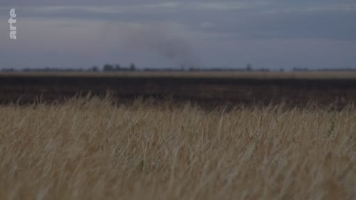 Un paysage rural marqué par la guerre, montrant un champ de blé au premier plan et une colonne de fumée s'élevant à l'horizon, évoquant les conséquences des conflits sur l'agriculture.