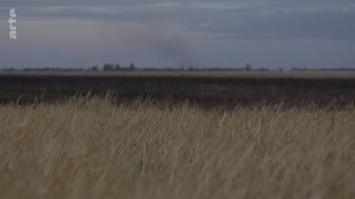 Vue d'ensemble d'un champ de blé sous un ciel nuageux et sombre, évoquant un paysage rural marqué par une atmosphère pesante.