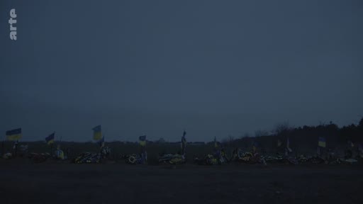 Vue d'ensemble d'un site commémoratif en Ukraine, marqué par de nombreux drapeaux ukrainiens plantés dans le sol au crépuscule, illustrant les conséquences de la guerre.