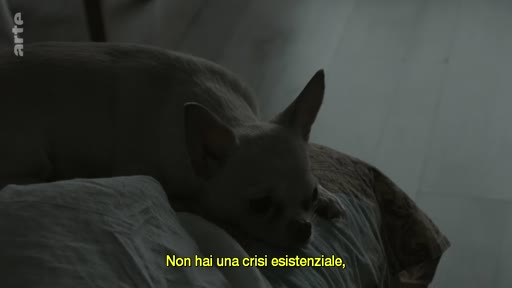 Un petit chien de type chihuahua est allongé sur un lit dans une chambre sombre, accompagné d'un sous-titre en italien évoquant une crise existentielle.