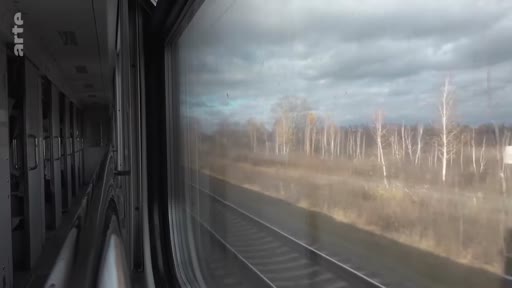 Vue depuis l'intérieur d'un wagon de train montrant un paysage rural avec des arbres dénudés et des voies ferrées, lors d'un voyage vers Marioupol.