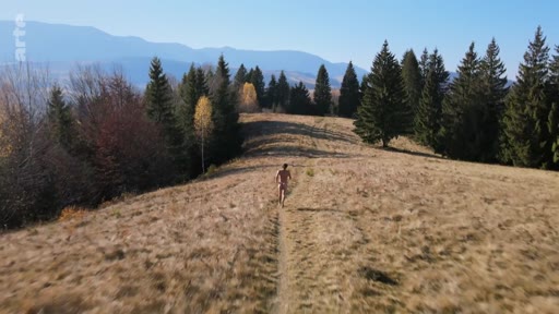 Un homme court nu sur un sentier à travers une colline herbeuse entourée de forêts de conifères, illustrant une scène de vie en pleine nature.