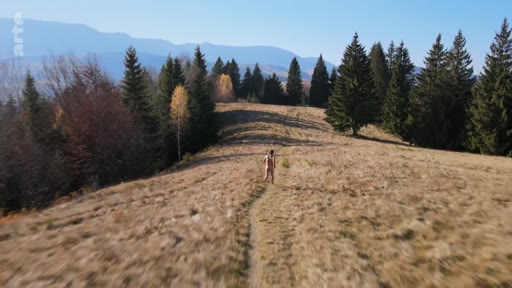 Une personne marche seule sur un sentier herbeux à travers un paysage de montagne boisé en automne, illustrant la vie avant la guerre.