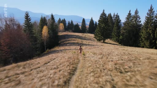 Un homme marche seul et nu sur un sentier à travers une prairie de montagne entourée de forêts de conifères en automne. Cette image illustre une scène de nature sauvage et de solitude dans un contexte de documentaire.