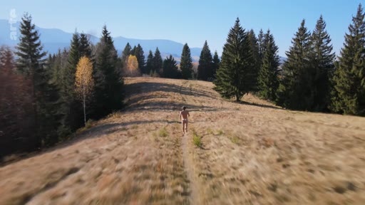 Un homme court nu sur un sentier de randonnée dans un paysage montagneux boisé, illustrant une scène de vie en pleine nature.