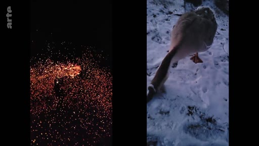 Image divisée montrant des étincelles projetées dans l'obscurité à gauche et une oie marchant sur un sol enneigé à droite, illustrant le contraste entre la violence du conflit et la nature en Ukraine.