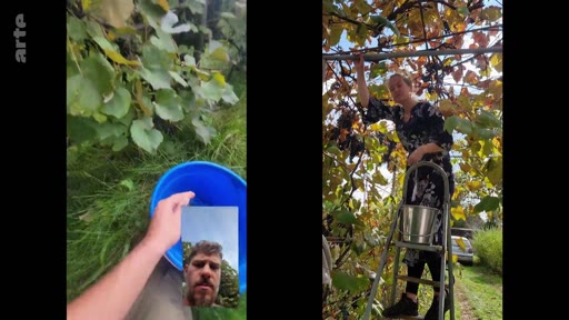 Un homme en extérieur tient un seau bleu tout en participant à un appel vidéo avec une femme qui récolte des fruits sur une échelle dans un verger. Cette scène illustre une communication à distance entre deux personnes dans un contexte rural.