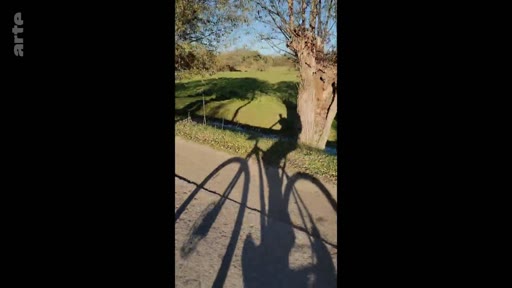 L'ombre portée d'un cycliste sur une route goudronnée en bordure d'un champ, illustrant une balade à vélo en extérieur.