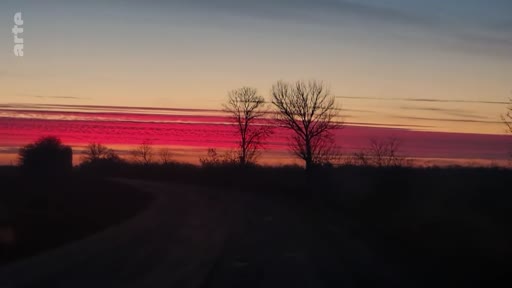Vue panoramique d'un paysage rural dans la région du Donbass au crépuscule, avec un ciel aux couleurs vives et des arbres silhouettes. Cette image illustre l'atmosphère mélancolique et le cadre géographique du conflit en Ukraine.