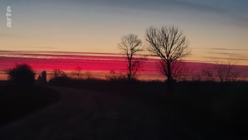 Vue panoramique d'un paysage rural au crépuscule dans la région du Donbass, illustrant l'atmosphère mélancolique liée au conflit en Ukraine.