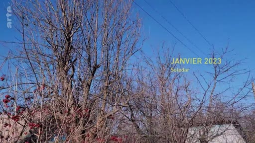 Vue extérieure montrant des arbres dénudés en hiver à Soledar, en Ukraine, en janvier 2023, illustrant les conditions climatiques durant le conflit.