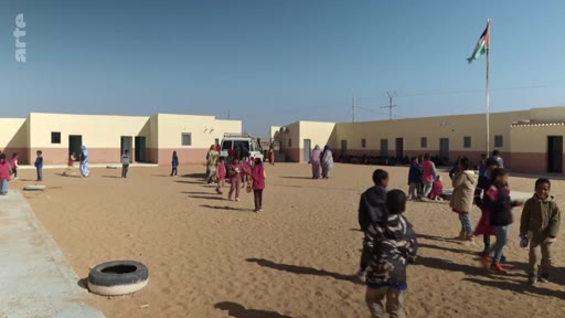 Sahara occidental : les combattantes du désert